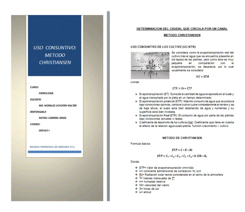 Determination Of Flow DOC Word Document