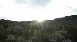 Evening 2D BMP Graphics (Pattern/Texture/Material) Graphics