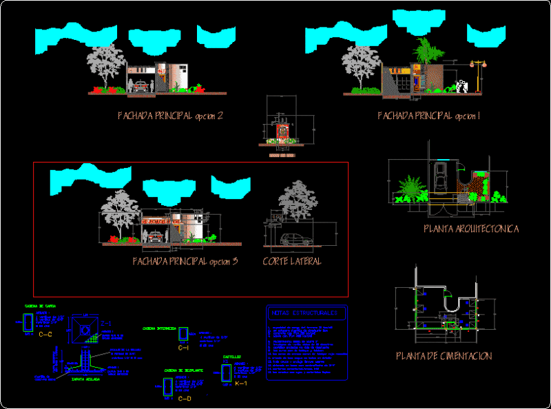 Facades DWG Detail for AutoCAD