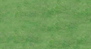 Grass Texture 2D BMP Graphics Graphics