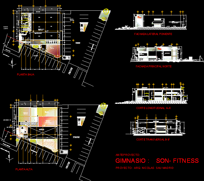 Gym DWG Full Project for AutoCAD • Designs CAD