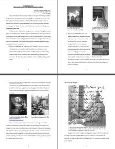 Luis Barragan – Mexican Garden Architect PDF (Document)