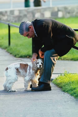 Man With A Dog 2D BMP Graphics Graphics