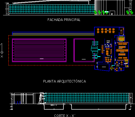 Olympic Diving Pool, Gym, Locker Room, Admin DWG Block for AutoCAD