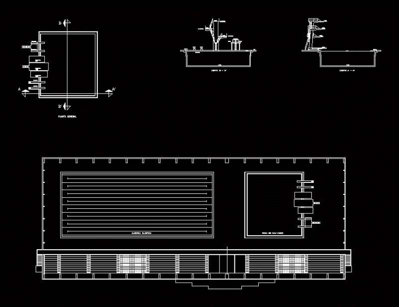 Olympic Pool DWG Block for AutoCAD