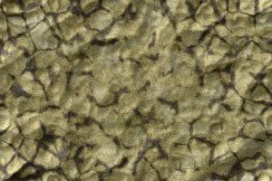 Pearl Marble With Black Veins 2D BMP Graphics Graphics