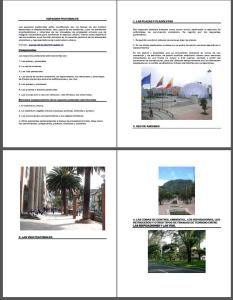 Pedestrian PDF (Document)