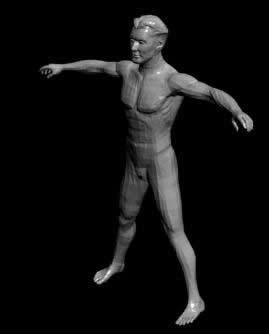 Person 3D 3DS Model for 3D Studio Max