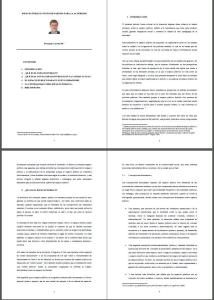 Public Space PDF (Document)