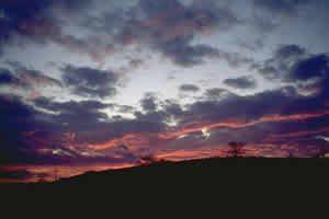Skies 2D BMP Graphics (Pattern/Texture/Material) Graphics