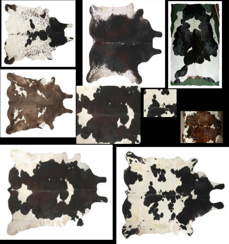 Texture Cow Skin 2D BMP Graphics Graphics