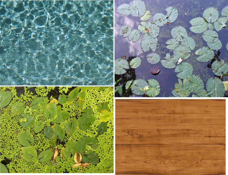 Textures 2D BMP Graphics Graphics