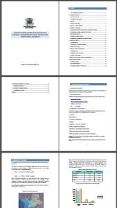 Thesis Sewer PDF (Document)