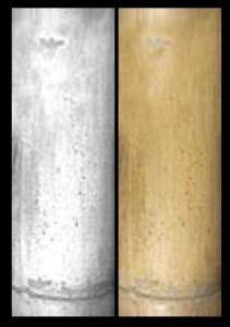 Trunk Texture Bambu 3D JPG Model Graphics