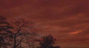 Twilight 2D BMP Graphics (Pattern/Texture/Material) Graphics