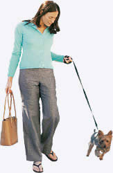 Woman With A Dog 2D BMP Graphics Graphics