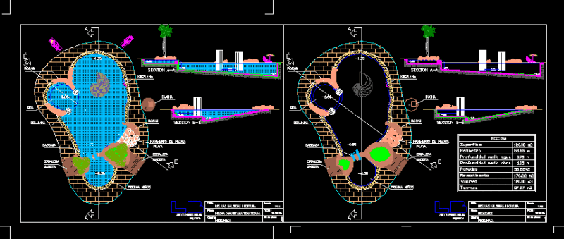 Acclimatzed Community Pool DWG Section for AutoCAD
