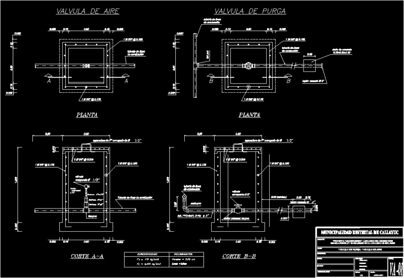 Air Valve And Purge DWG Detail for AutoCAD