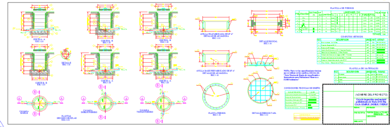 Inspection Box Condominial DWG Section for AutoCAD