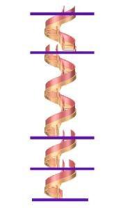 Multilevel Spiral Staircase 3D DWG Model for AutoCAD
