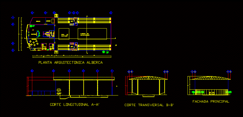 Pool Competition DWG Detail for AutoCAD
