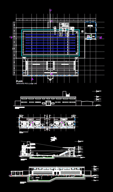 Swimming Pool DWG Detail for AutoCAD