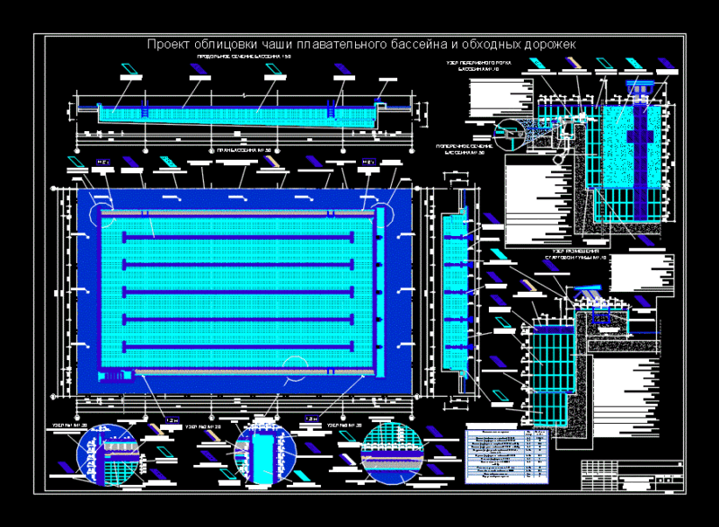 Swimming Pool DWG Plan for AutoCAD
