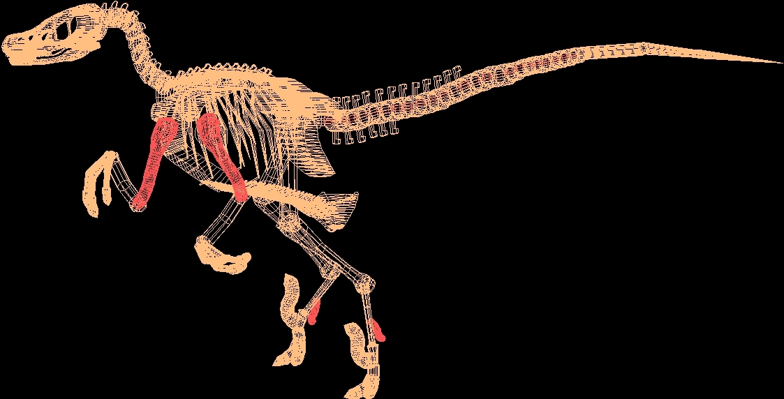 Esqueleto de dinossauro em AutoCAD, Baixar CAD (63.22 KB)