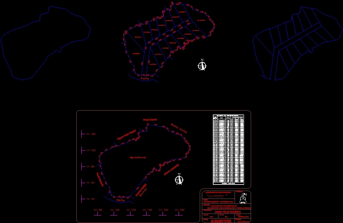 Surveyings DWG Block for AutoCAD • Designs CAD