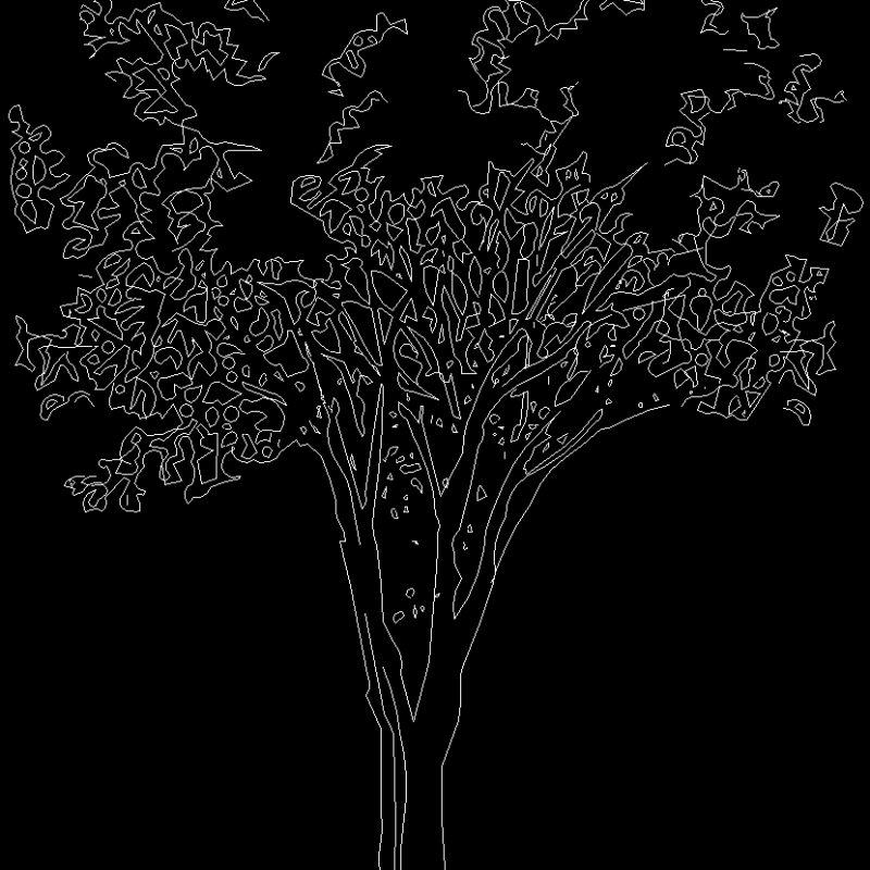 Tree 2D DWG Block for AutoCAD • Designs CAD