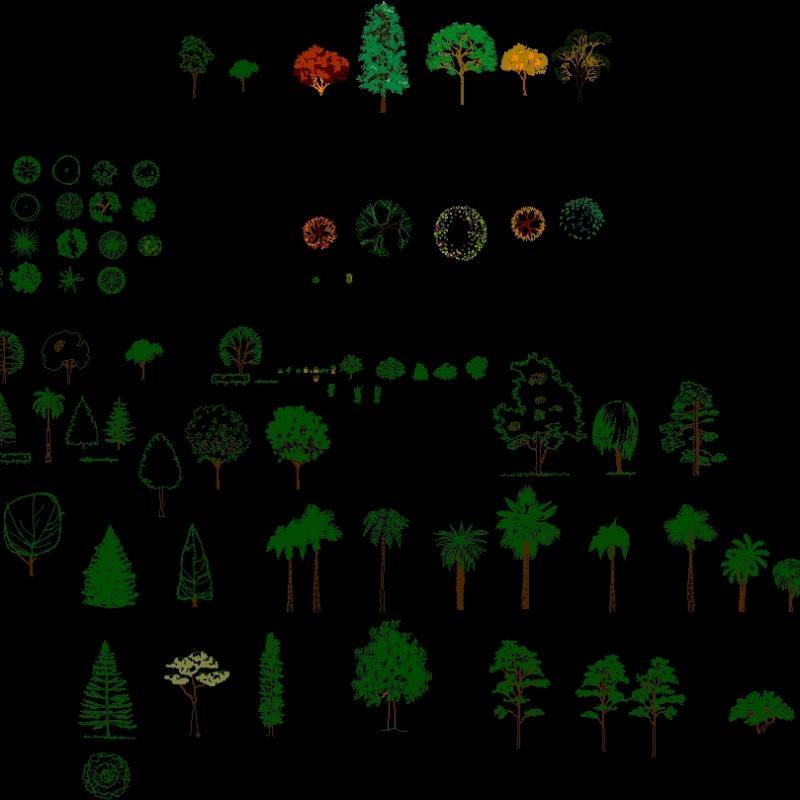 Trees And Plants DWG Elevation for AutoCAD • Designs CAD