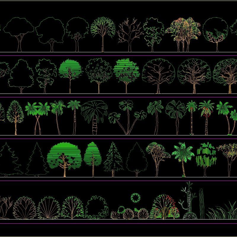 Trees Bogota DWG Block for AutoCAD • Designs CAD