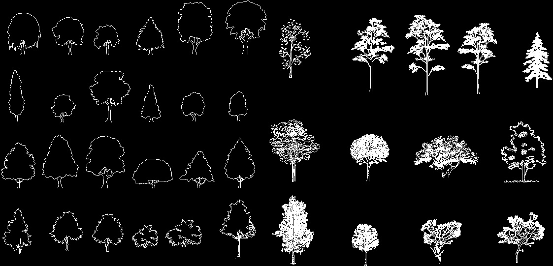 Trees DWG Plan for AutoCAD • Designs CAD