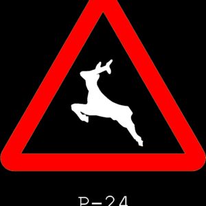 P24 Blocks P-24 DWG Block for AutoCAD | Designs CAD