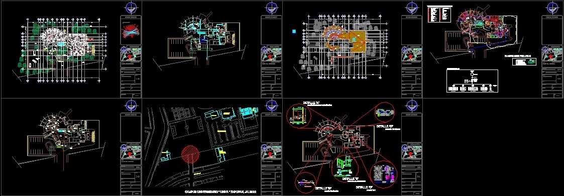 What is a dissertation picture