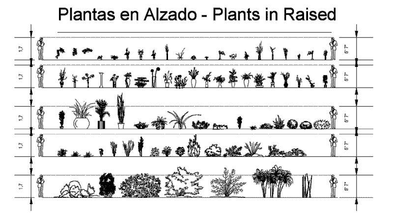 Plants in elevation, Plants Potted in elevation, Hanging Plant in elevation and Bushs in elevation, Plantas, Plantas en Maceta, Plantas Colgantes, Arbustos