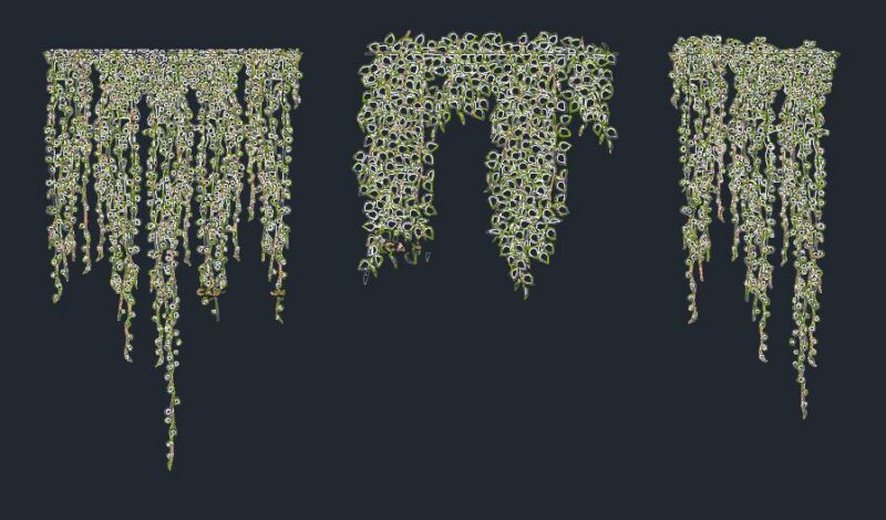 Cascading Trailing Covering Wall Plants