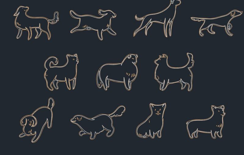 Dog Animal