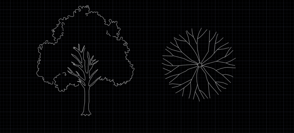 Tree drawing plan and elevation