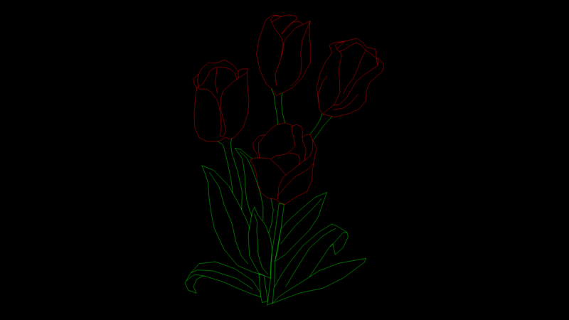 Dutch Tulips Flower Vector block for Landscape Architecture