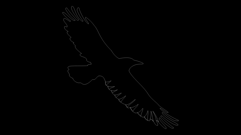 Eagle Silhouette Block for Landscape & Architectural Drawings