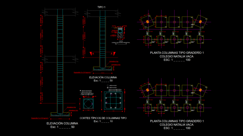 Reinforced Concrete Stadium Seating Column Plan & Section Drawing
