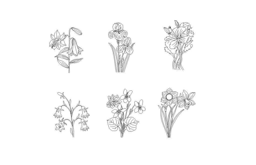 Flowering Plants