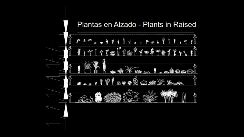 Plant & Tree Elevation Blocks Library for Landscape Design