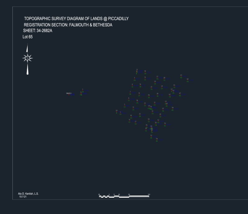 Topographic survey diagram for Lot 65 Piccadilly DWG