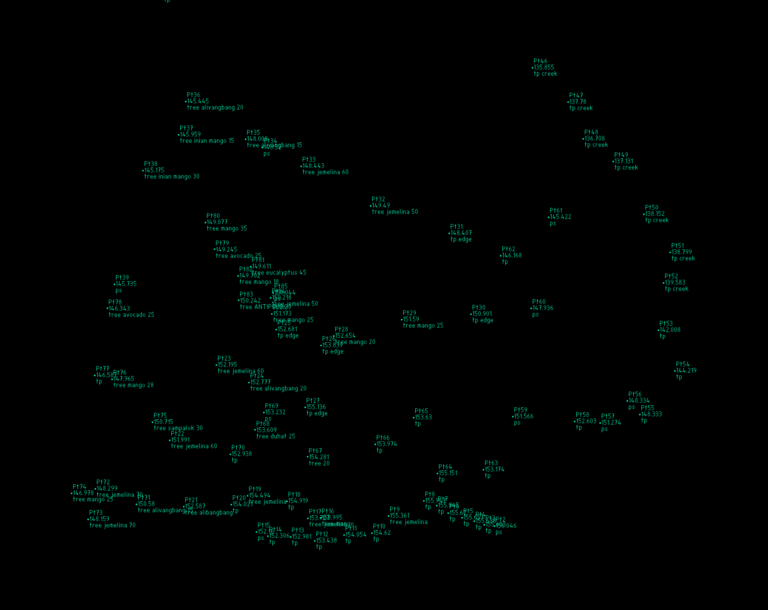 CAD plot showing topographical survey points with spot elevations and labels for Mango, Jemelina, and Alibangbang trees.