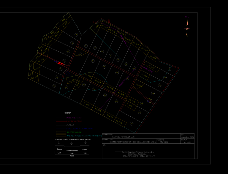 CAD site plan of a 31-lot rural subdivision in Brasília showing APP zones, legal reserves, and road cross-section.