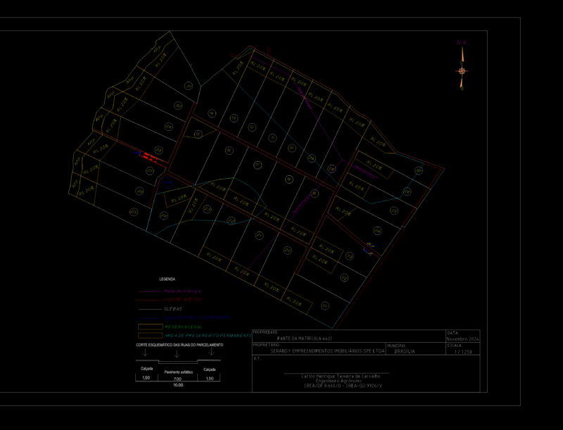 Rural land subdivision layout with 31 lots and dam detail