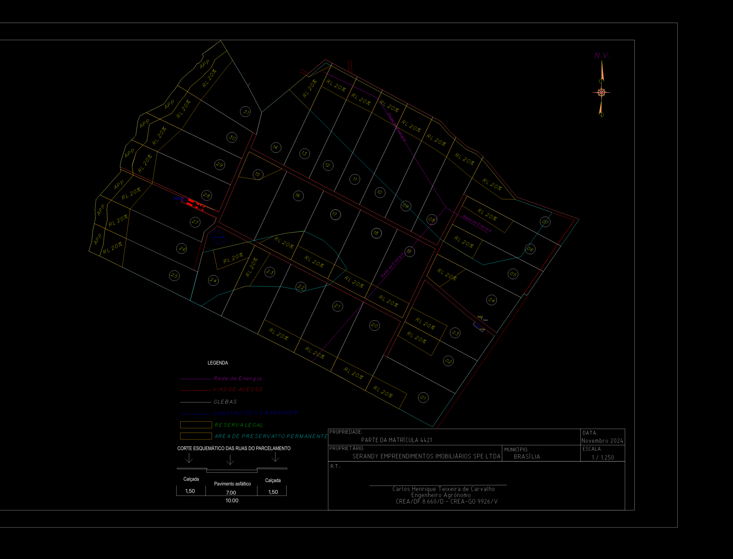 Rural Land Subdivision 31 Lot CAD Layout | Designs CAD