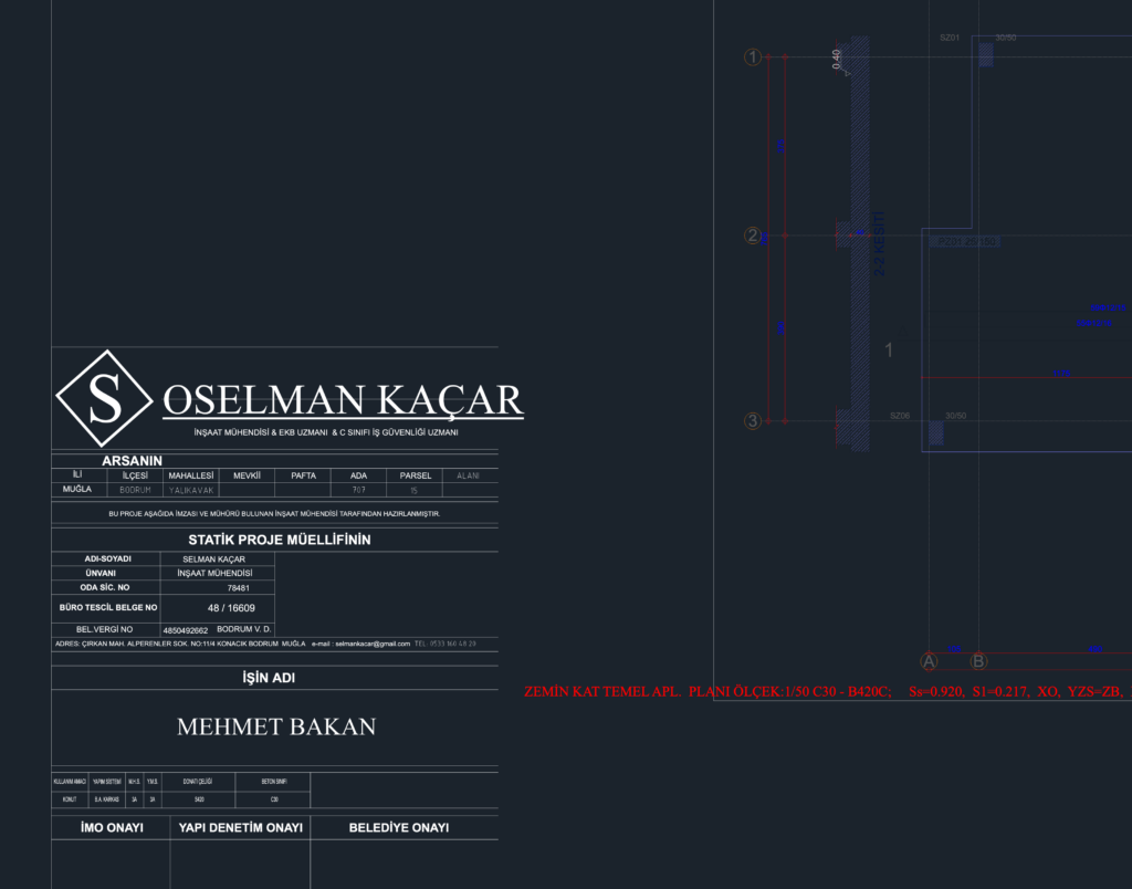 Structural foundation and column application plan CAD drawing with raft foundation sections and reinforcement tables.